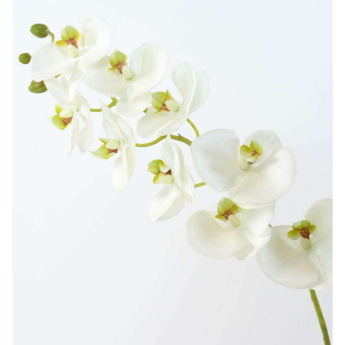 Fleur à la tige Orchidée artificielle Phalaenopsis - haute qualité - H.77 cm