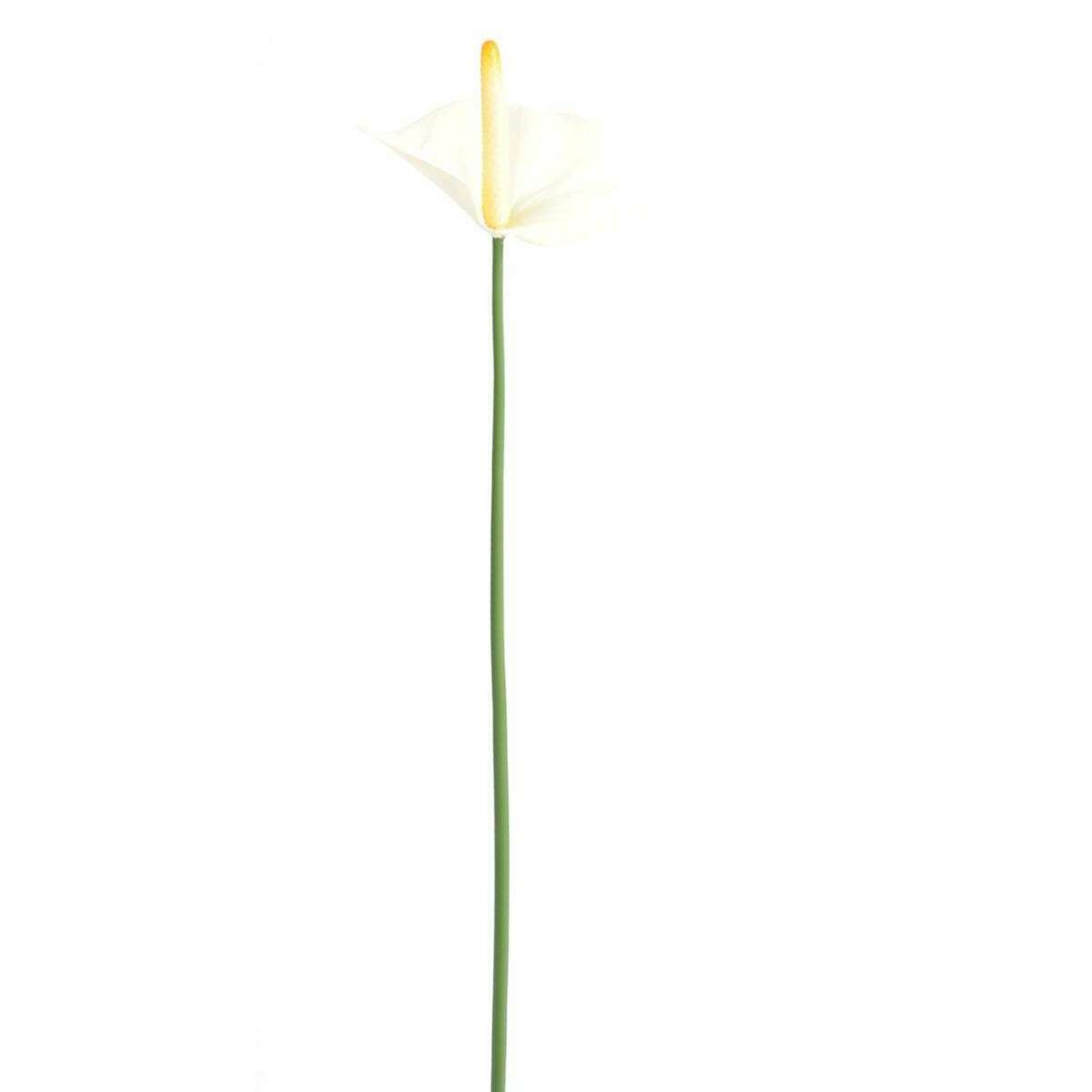 Fleur artificielle Anthurium - décoration florale - H.60cm blanc