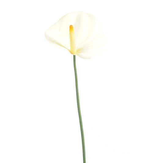 Fleur artificielle Anthurium - décoration florale - H.60cm blanc
