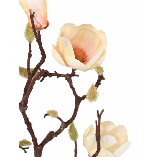 Fleur artificielle branche de Magnolia - création florale intérieur - H.100cm crème