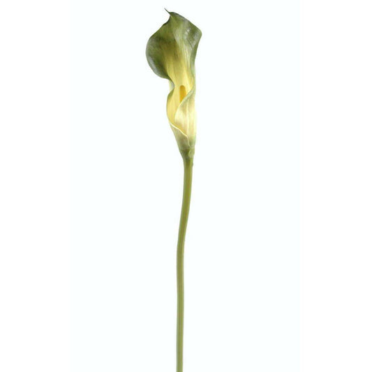Fleur artificielle Calla Lily - création bouquet - H.90 cm vert