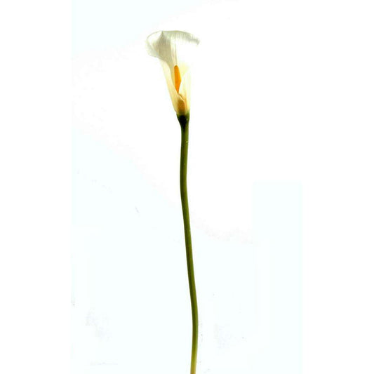 Fleur artificielle Calla Lily - création de bouquet - H.90cm blanc