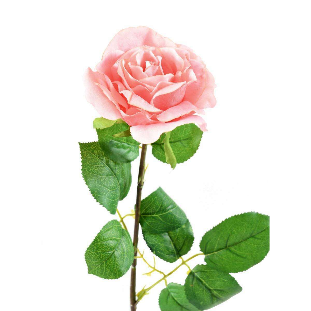 Fleur artificielle coupée rose - décoration d'intérieur - H.66cm rose