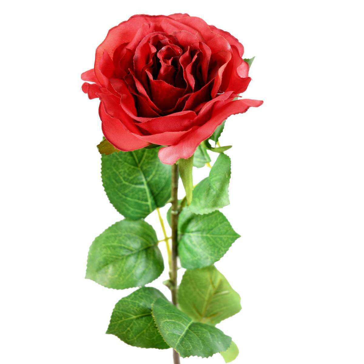 Fleur artificielle coupée rose - décoration d'intérieur - H.66cm rouge - M4
