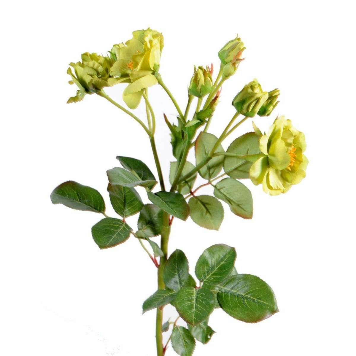 Fleur artificielle coupée rose sauvage - composition florale - H.52cm vert