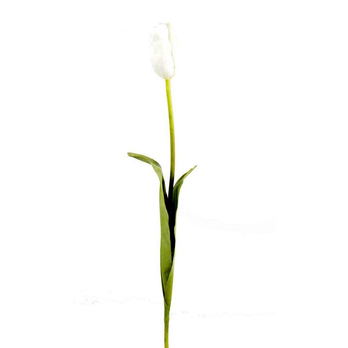 Fleur artificielle coupée Tulipe - décoration d'intérieur - H.79cm blanc N2