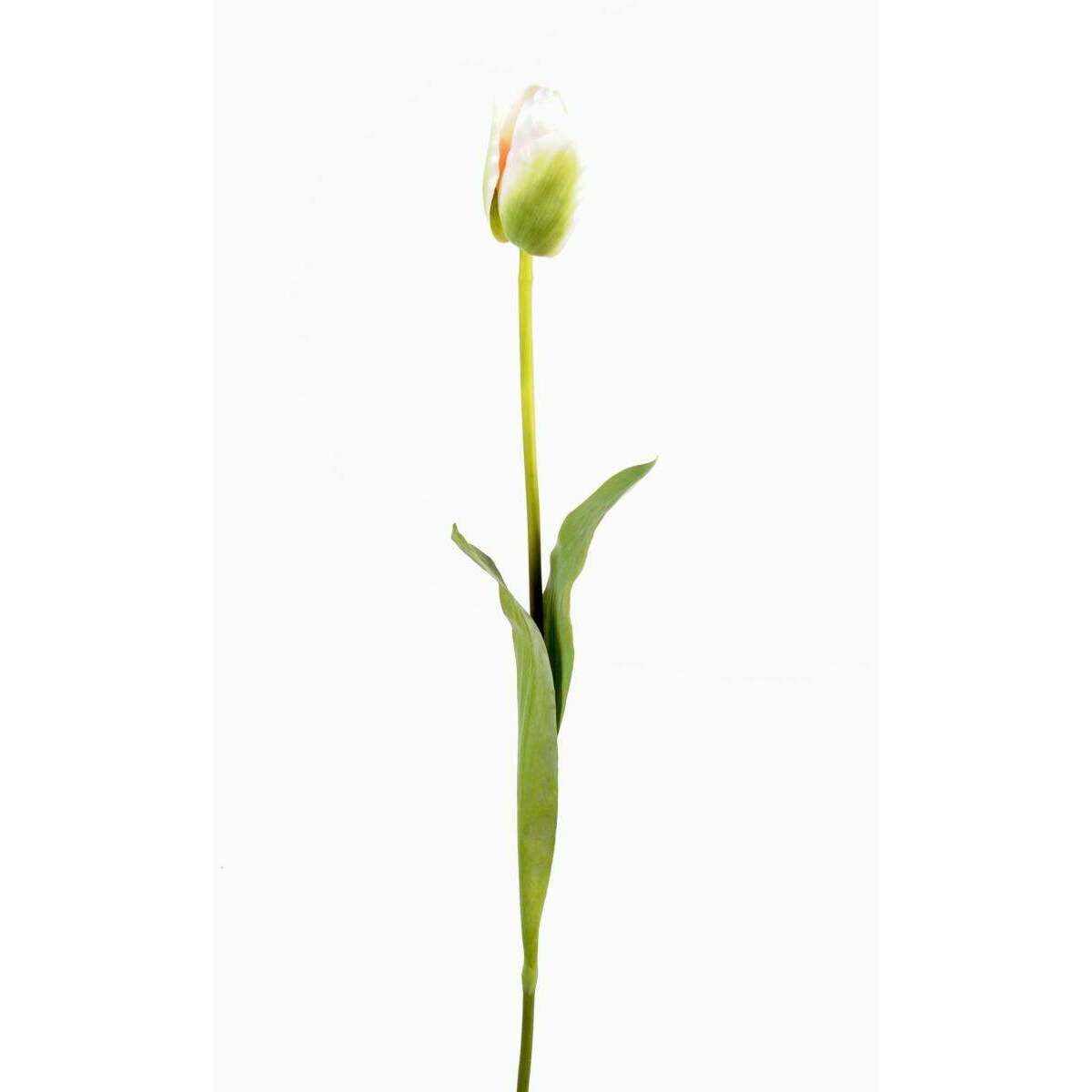 Fleur artificielle coupée Tulipe - décoration d'intérieur - H.79cm vert N2
