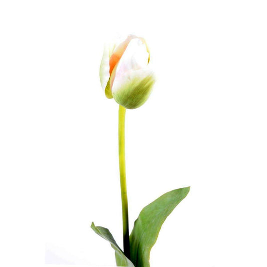 Fleur artificielle coupée Tulipe - décoration d'intérieur - H.79cm vert