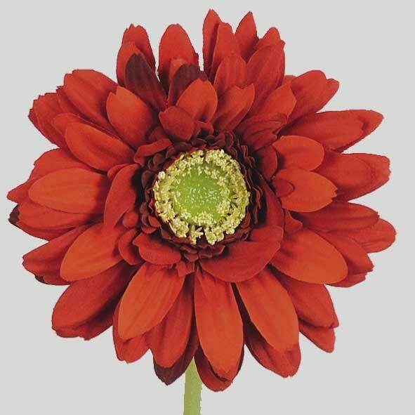 Fleur artificielle Gerbera - composition bouquet artificiel - H.50 cm rouge - S2