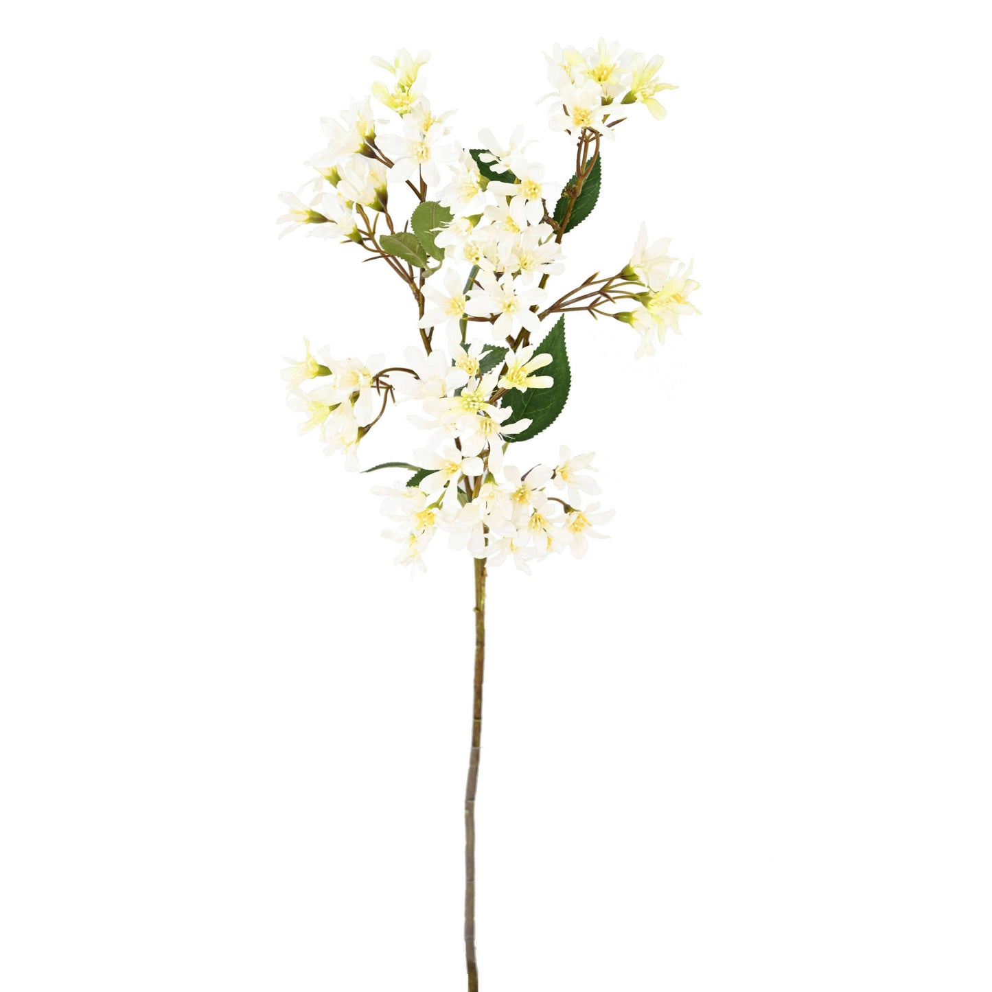 Fleur artificielle Hoheria stardust - composition bouquet - H.70cm blanc