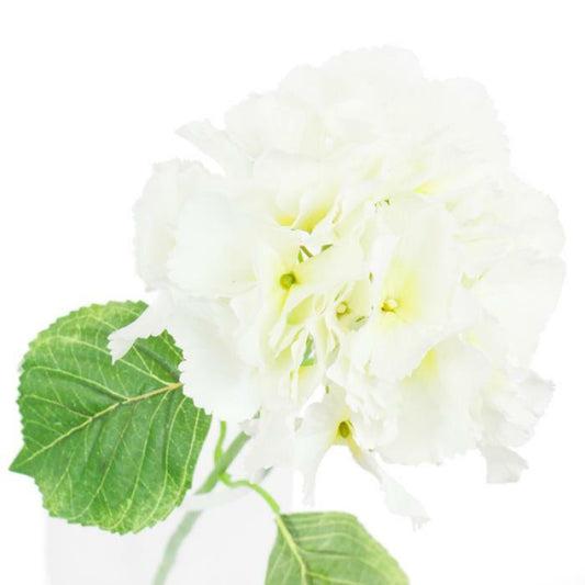 Fleur artificielle Hortensia géant - composition bouquet - H.73cm blanc - S1