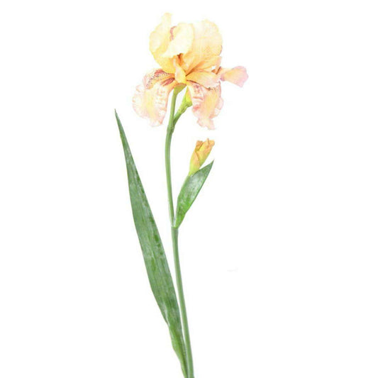 Fleur artificielle iris 2 fleurs - décoration d'intérieur - H. 70cm crème violet