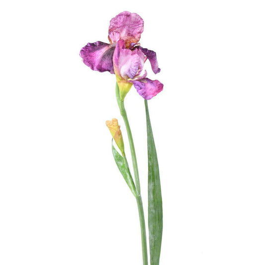 Fleur artificielle iris 2 fleurs - décoration d'intérieur - H.70cm lilas - I2