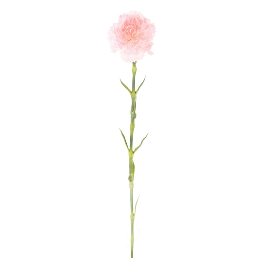 Fleur artificielle Oeillet - composition florale - H.55cm rose