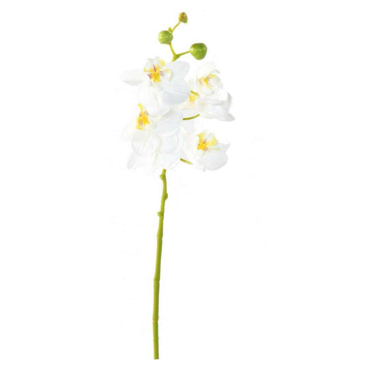 Fleur artificielle Orchidée Phalaenopsis 6 fleurs - Fresh Touch - H.60 cm blanc