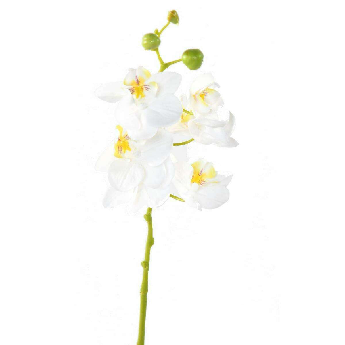 Fleur artificielle Orchidée Phalaenopsis 6 fleurs - Fresh Touch - H.60 cm blanc