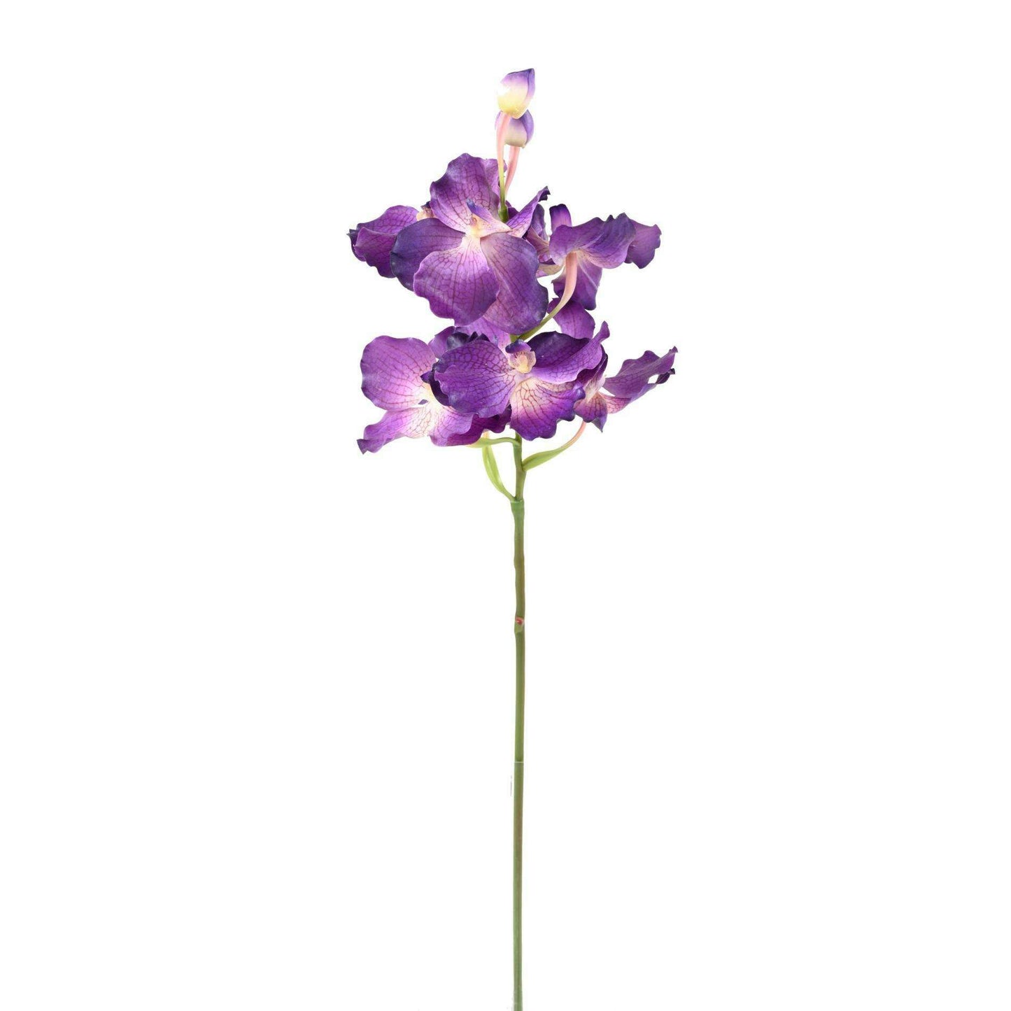 Fleur artificielle Orchidée Vanda Fresh Touch - haut de gamme - H.70cm violet - O1