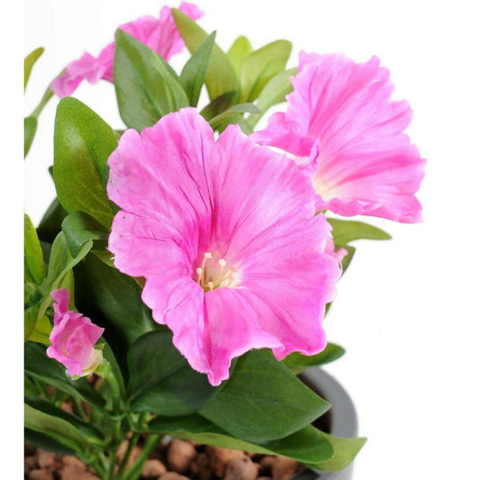 Fleur artificielle Petunia 4 fleurs - plante d'intérieur en piquet - H.25cm fuchsia