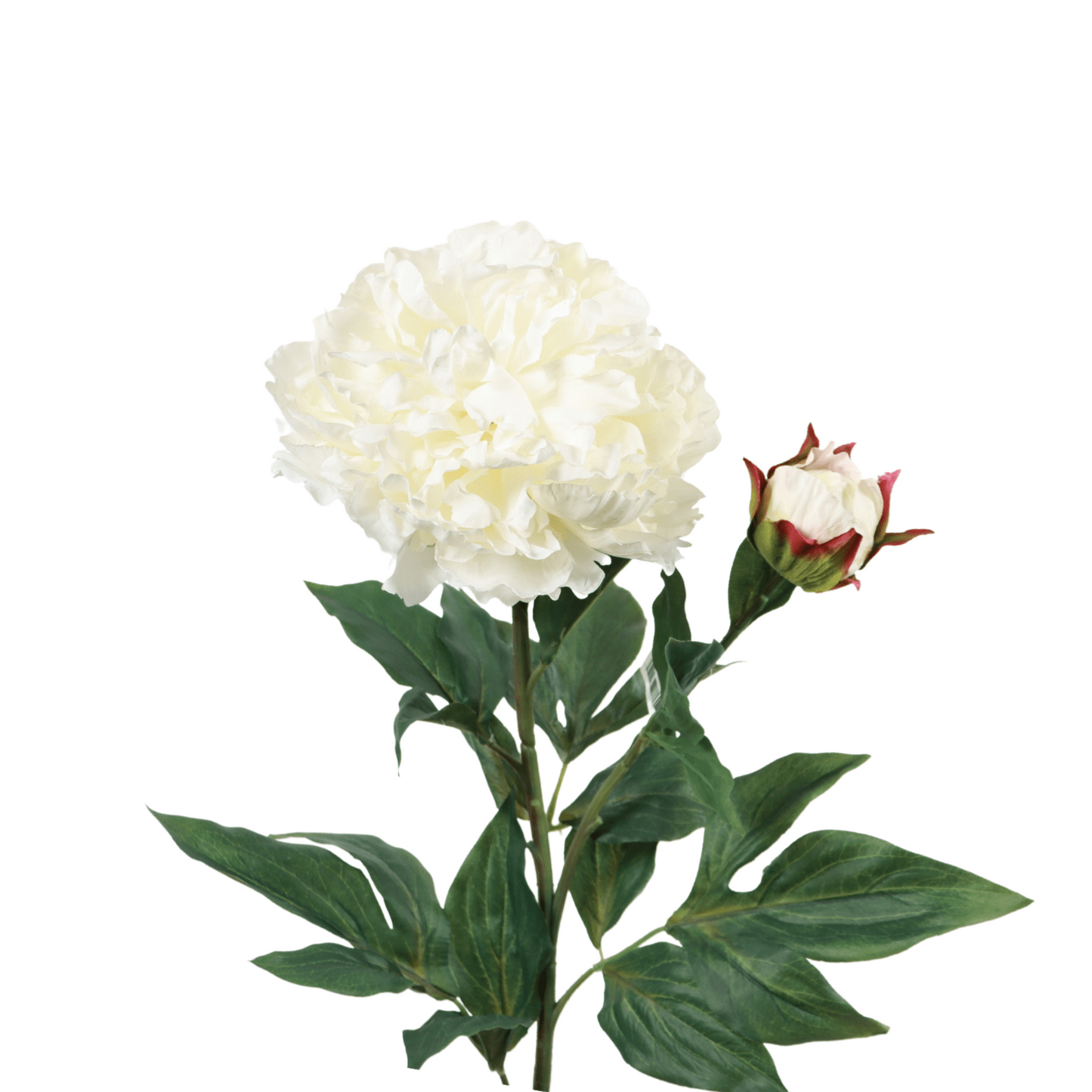 Fleur artificielle Pivoine blanche haut de gamme - composition florale - H.88cm