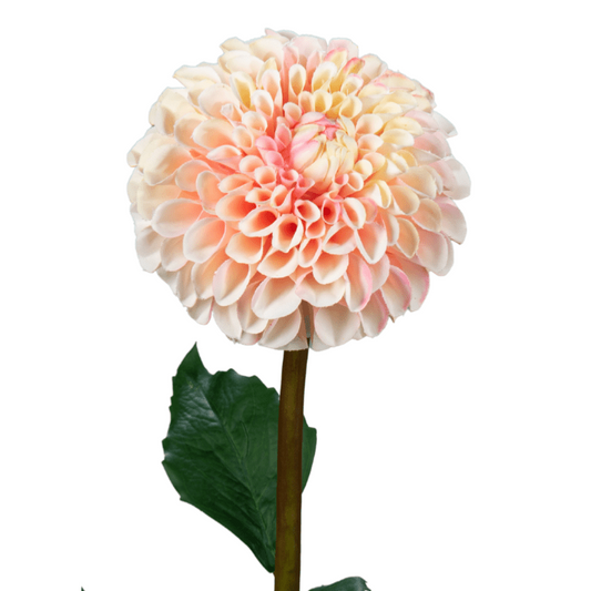 Fleur artificielle tige de Dahlia - composition florale - H.96cm crème rose