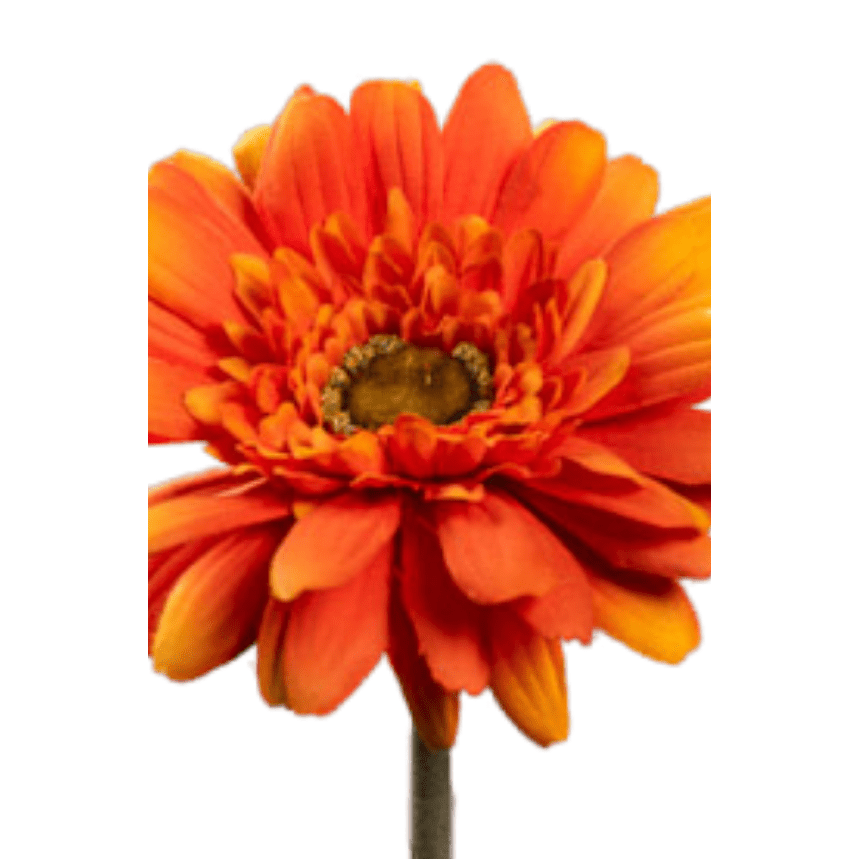 Fleur artificielle tige de Gerbera - composition bouquet - H.64cm orange