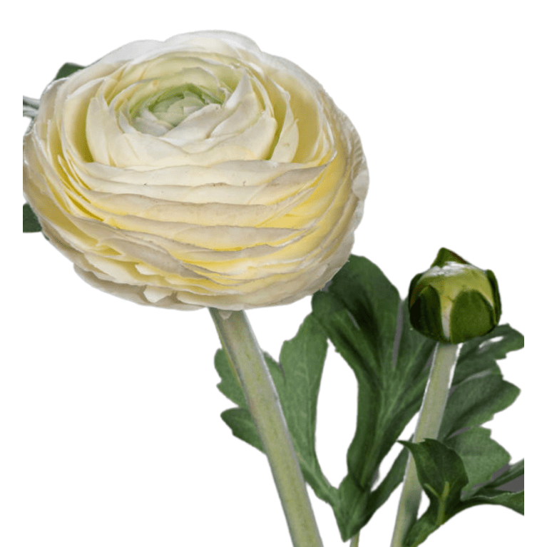 Fleur artificielle tige de Renoncule - création de bouquet - H.57cm crème