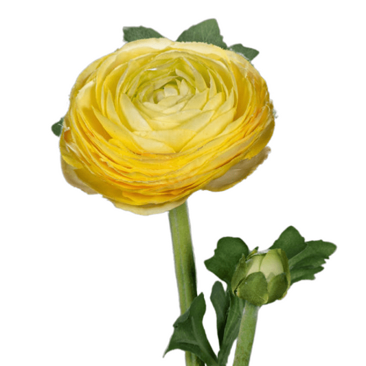 Fleur artificielle tige de Renoncule - création de bouquet - H.57cm jaune