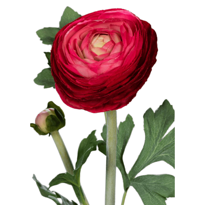 Fleur artificielle tige de Renoncule - création de bouquet - H.57cm rouge