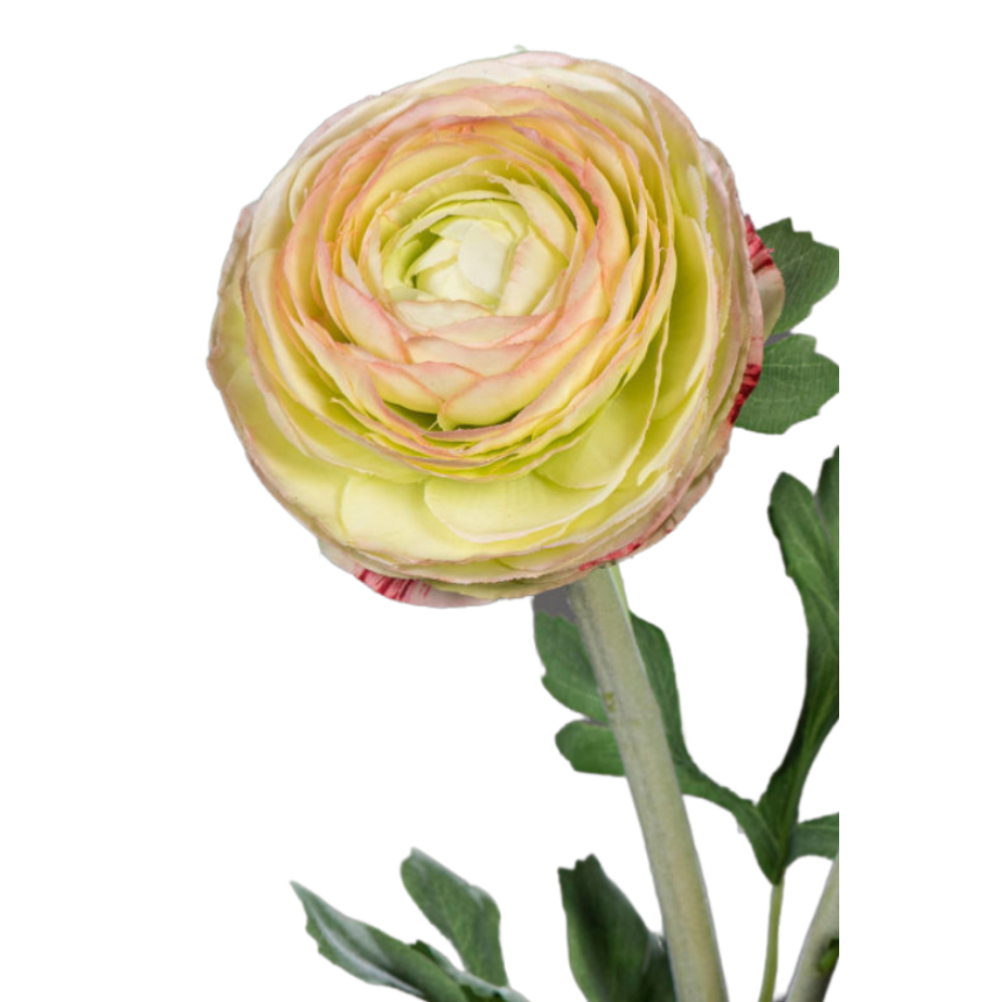 Fleur artificielle tige de Renoncule - création de bouquet - H.57cm vert jaune