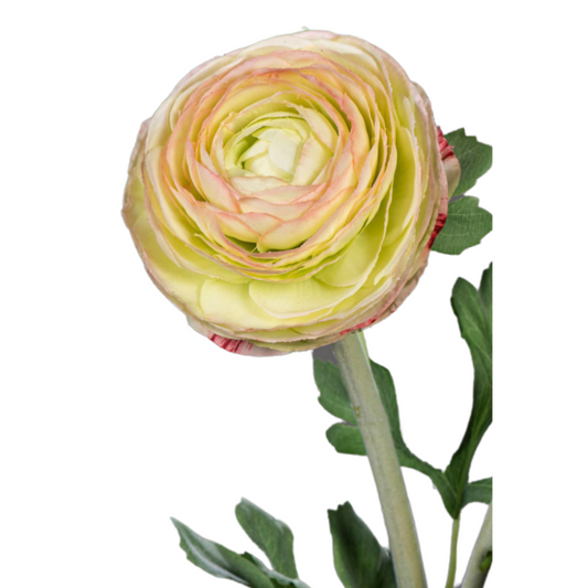 Fleur artificielle tige de Renoncule - création de bouquet - H.57cm vert jaune