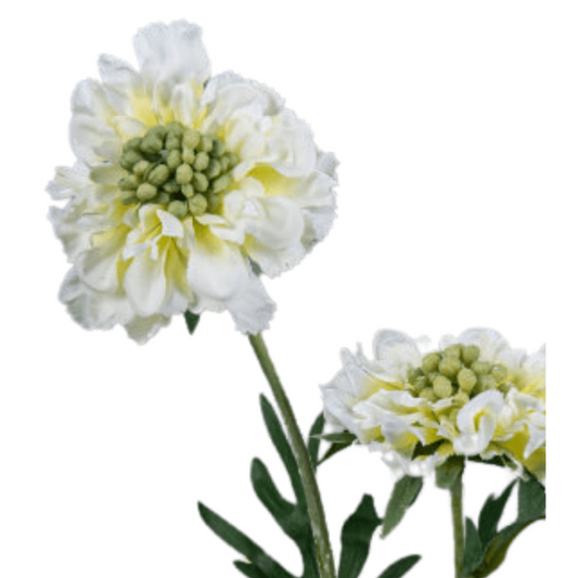 Fleur artificielle tige de Scabiosa - composition florale - H.55cm crème