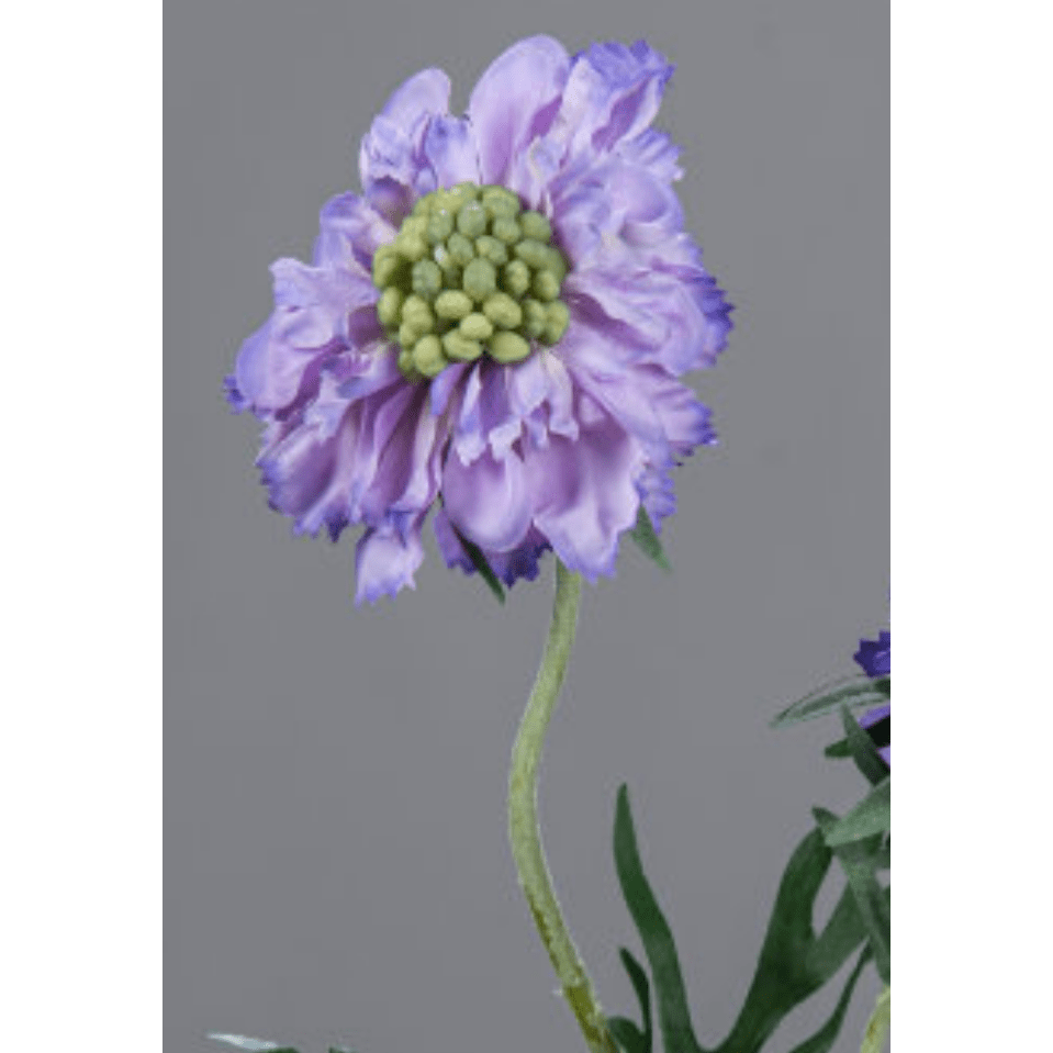 Fleur artificielle tige de Scabiosa - composition florale - H.55cm lavande