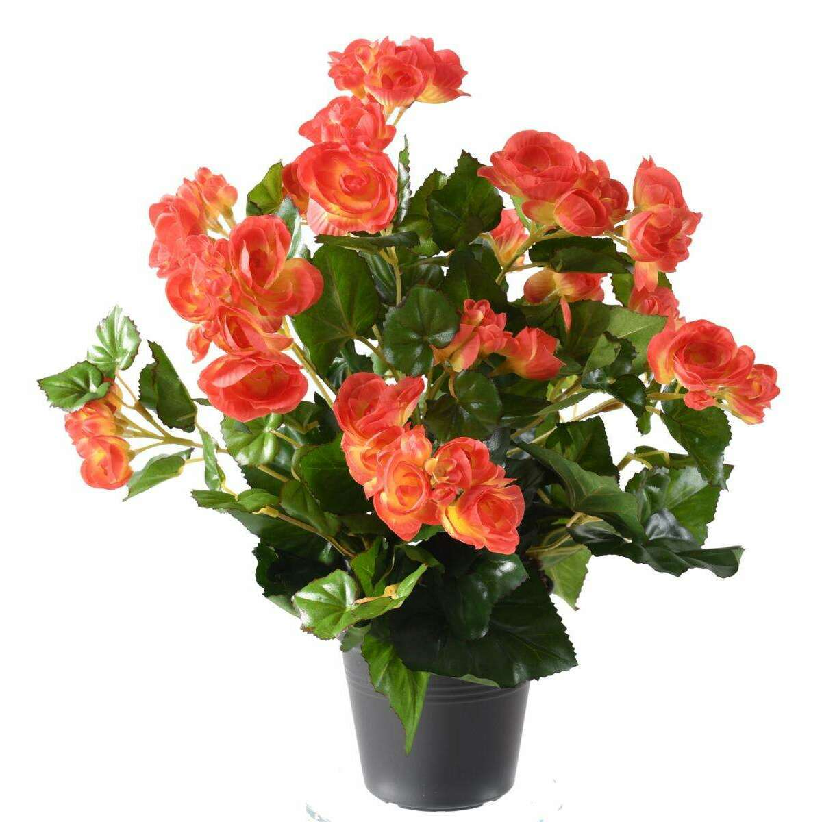 Fleurs artificielles Bégonia - plante en piquet - H.30 cm corail
