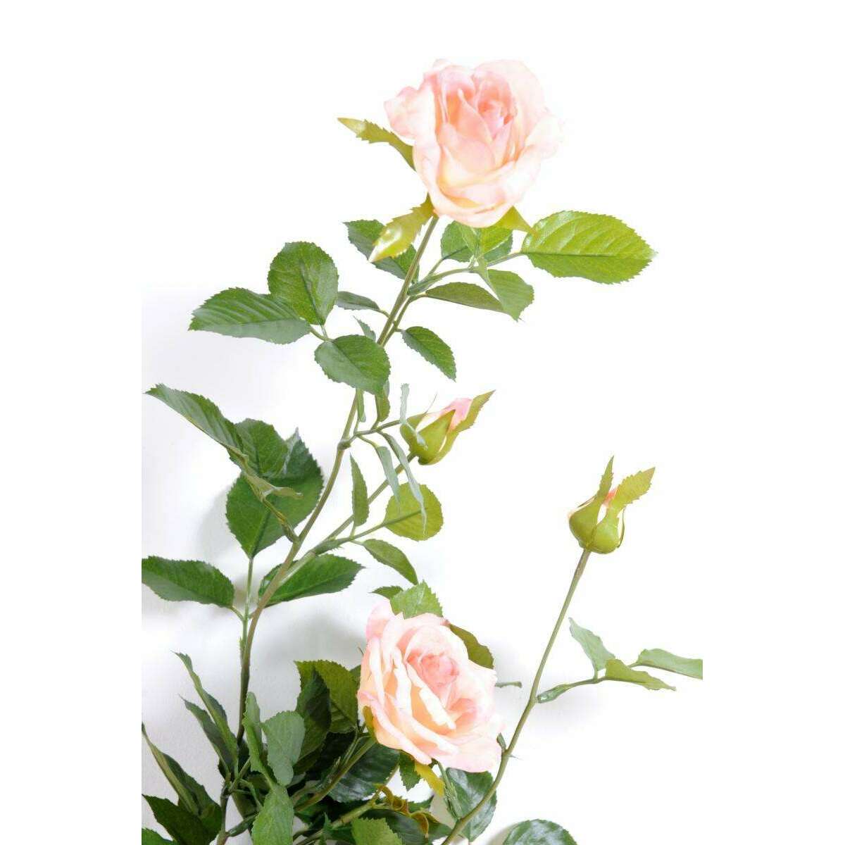 Fleurs artificielles Guirlande royale de rose - décoration d'intérieur - H.140cm rose crème