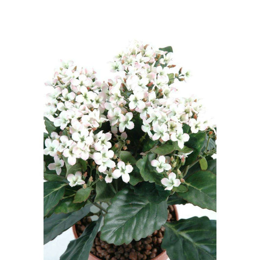 Fleurs artificielles Kalanchoe - plante en piquet - H.25cm blanc