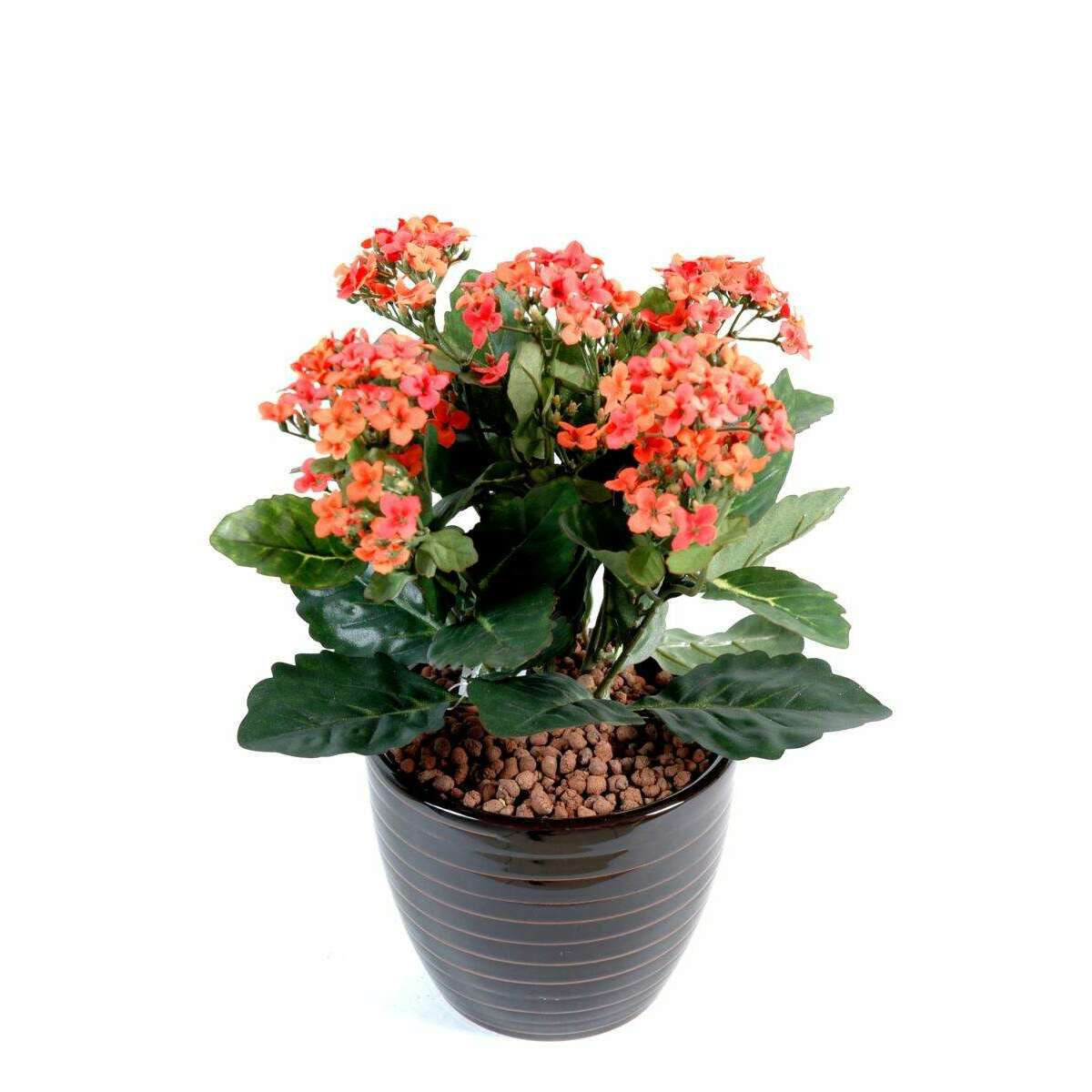 Fleurs artificielles Kalanchoe - plante en piquet - H.25cm pêche