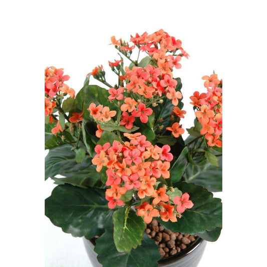 Fleurs artificielles Kalanchoe - plante en piquet - H.25cm pêche