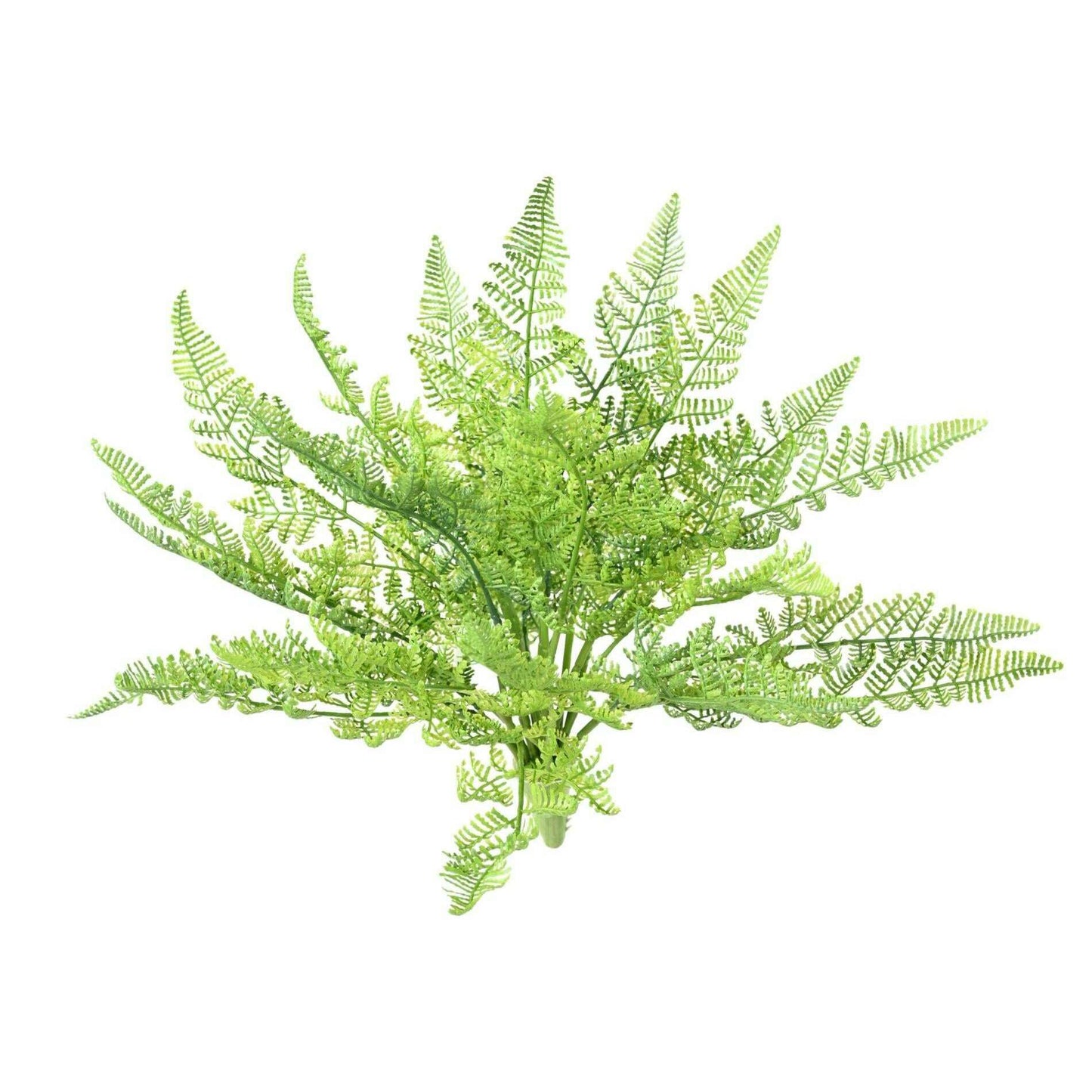 Fougère artificielle Daullia Bullata - plante en piquet - H.35cm vert