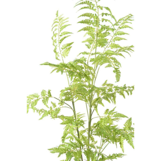 Fougère artificielle socle mousse - plante d'intérieur - H.130cm vert