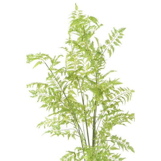 Fougère artificielle socle mousse - plante d'intérieur - H.170cm vert