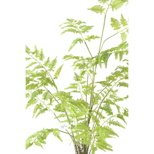 Fougère artificielle socle mousse - plante d'intérieur - H.95cm vert - O5