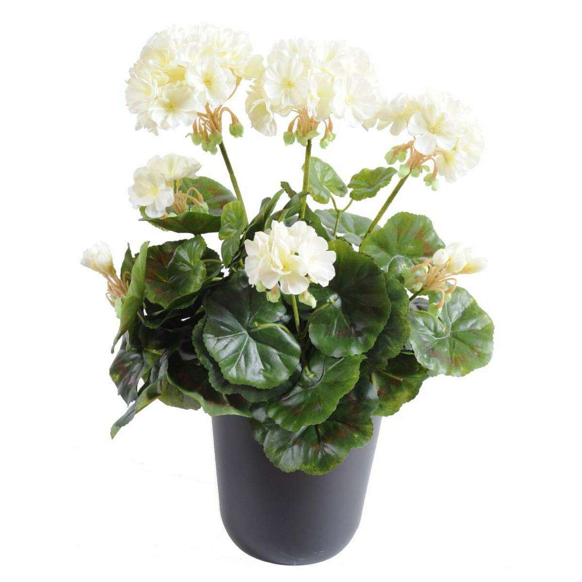 Géranium en piquet 5 têtes - Plante fleurie artificielle - H.40cm blanc G3