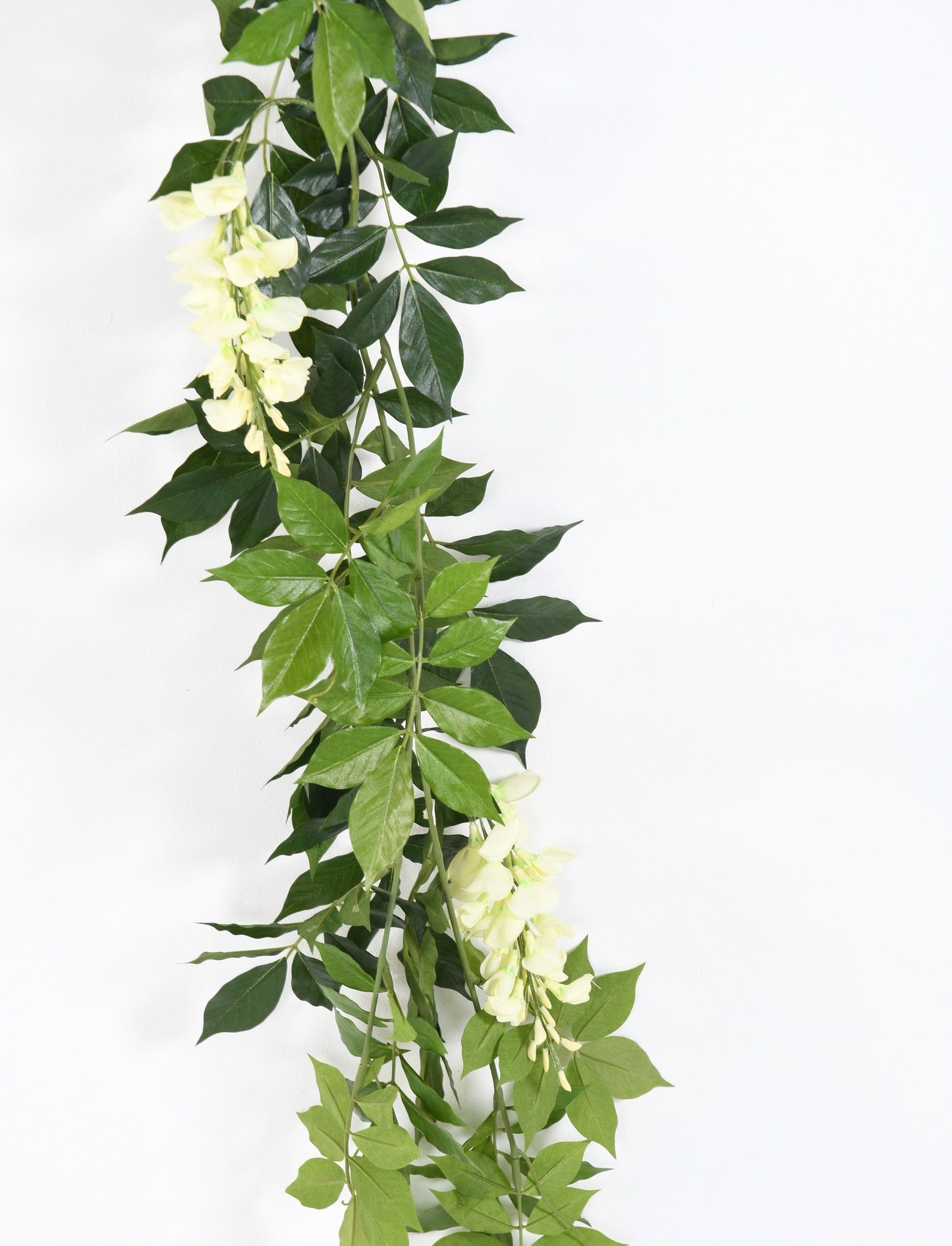 Guirlande de Glycine artificielle crème 180 cm – Une cascade florale pleine de douceur - PALDEPOT
