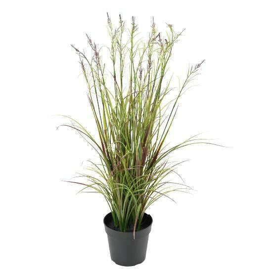 Graminée artificielle Acorus fleuri en pot - plante d'extérieur - H.70cm vert violet -