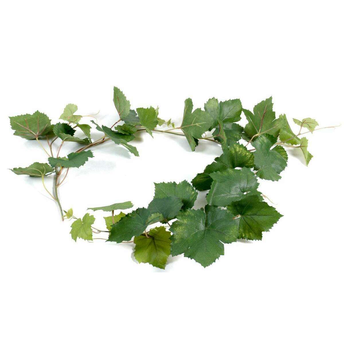 Guirlande artificielle de vigne 34 feuilles - décoration d'intérieur - H.118cm vert