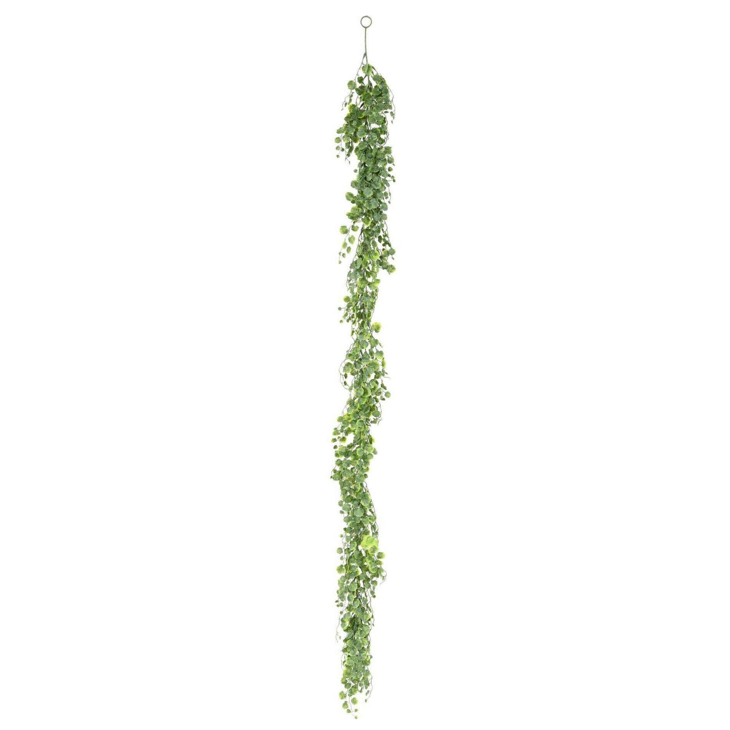 Guirlande artificielle Glechoma lierre terrestre - décoration d'intérieur - H.180cm - G2