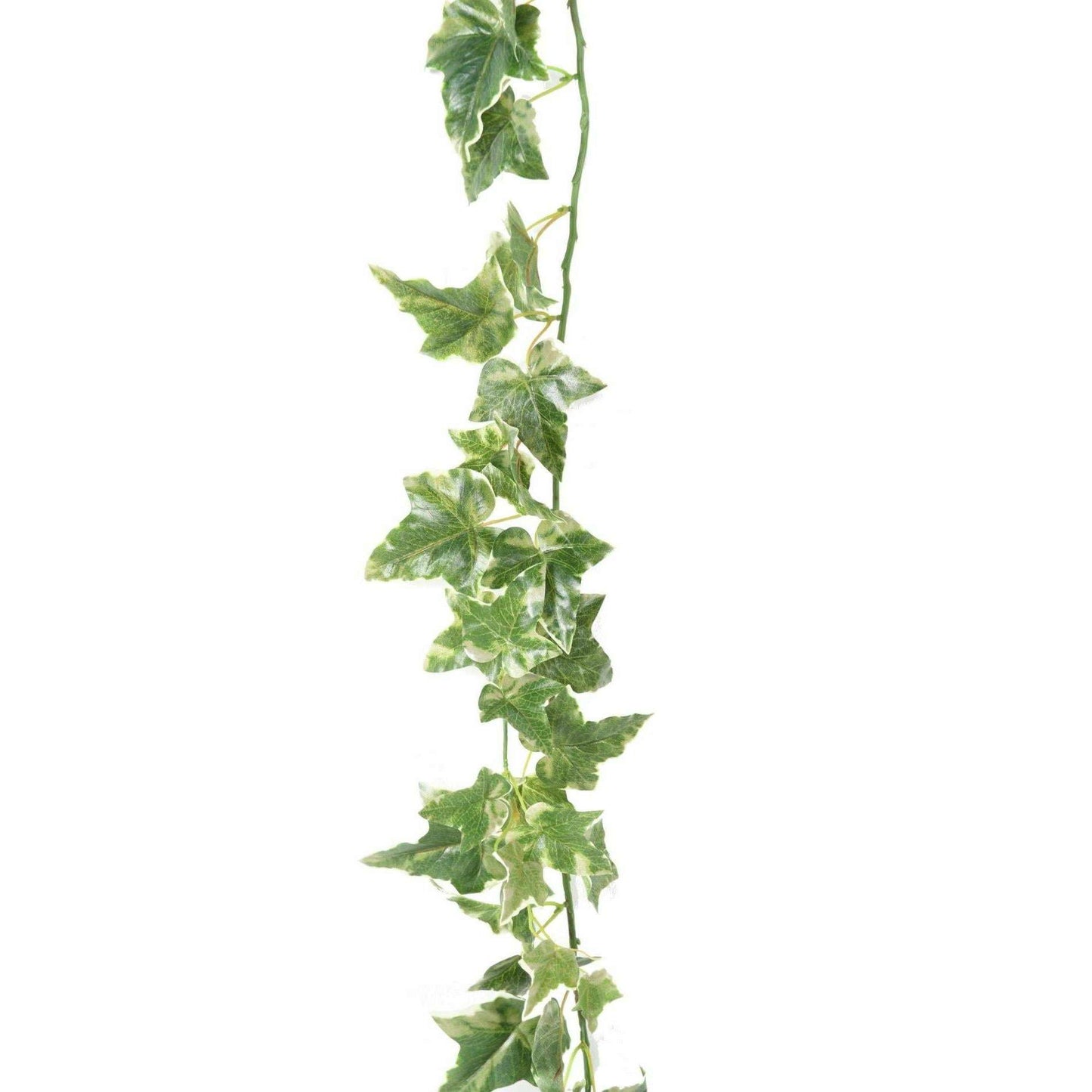 Guirlande artificielle Lierre Hollandais 68 feuilles - intérieur - H.180cm panaché