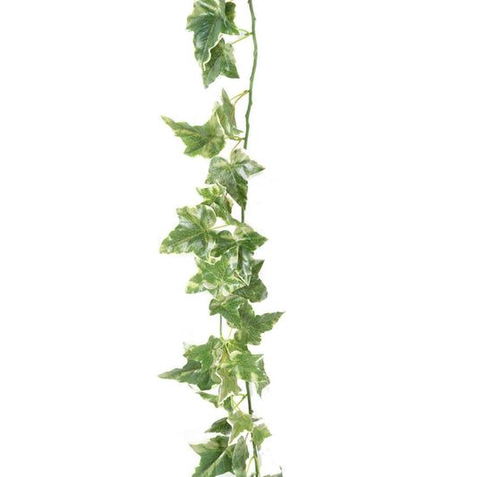 Guirlande artificielle Lierre Hollandais 68 feuilles - intérieur - H.180cm panaché