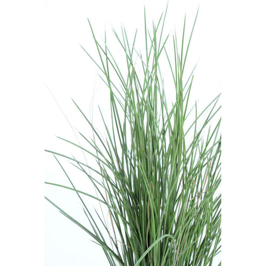 Herbe artificielle Honey Grass UV résistant - intérieur extérieur - H.80cm