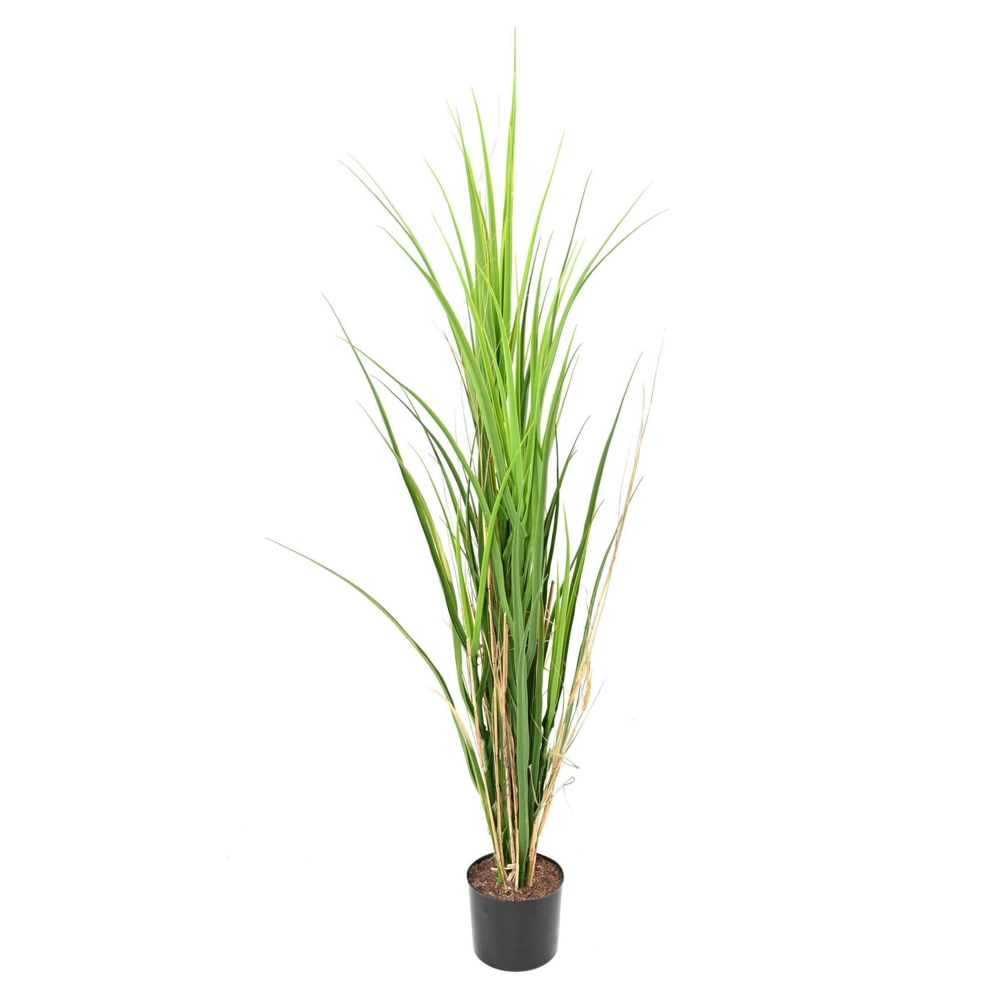 Herbe artificielle large UV résistant - intérieur extérieur - H.115cm - V
